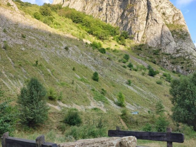 Midžor