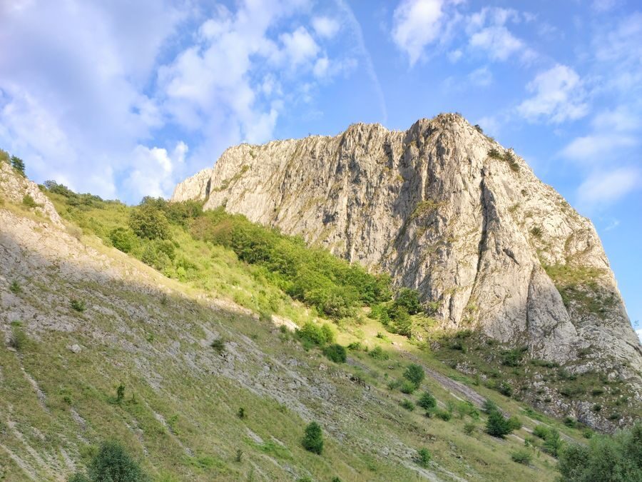 Midžor